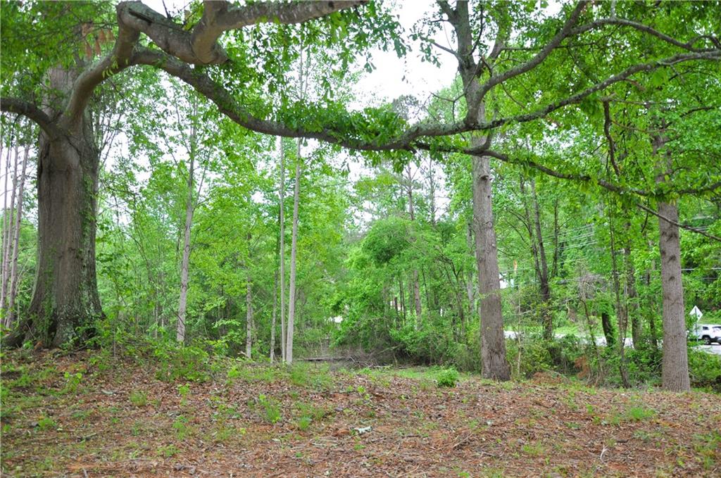 590 Villa Rica Highway, Dallas, Georgia image 14