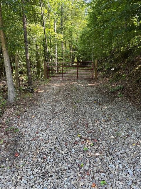 Vacant Land For Sale - Pin Hook Road<br/> Ranger, GA 30734