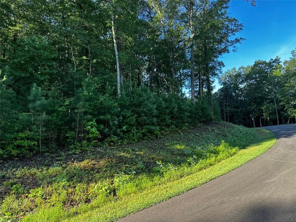 180 Trailwood Drive