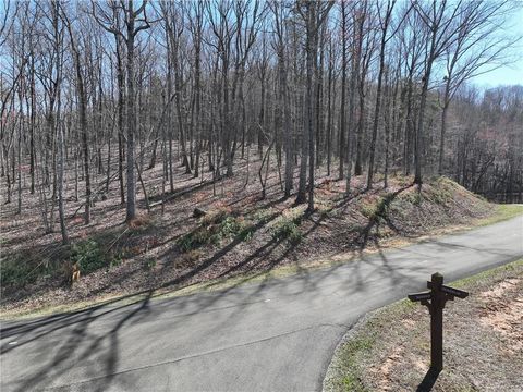 Vacant Land For Sale - 180 Trailwood Drive<br/> Ellijay, GA 30536