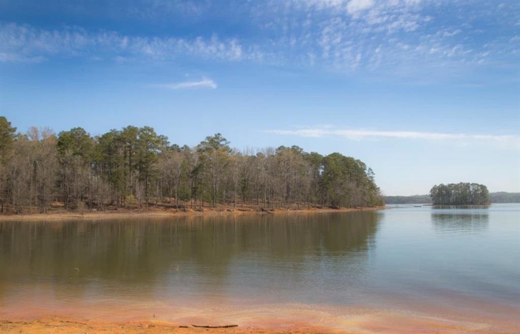 1085 Eagles Nest 11 Lots Trail, Lincolnton, Georgia image 9