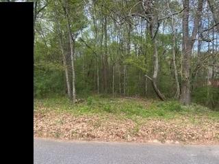 3607 Masters Road, Ellenwood, Georgia image 11