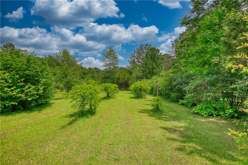 78 N Pomona Rd Rd, Hampton, Georgia image 41