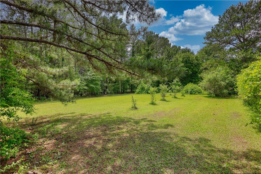 78 N Pomona Rd Rd, Hampton, Georgia image 40