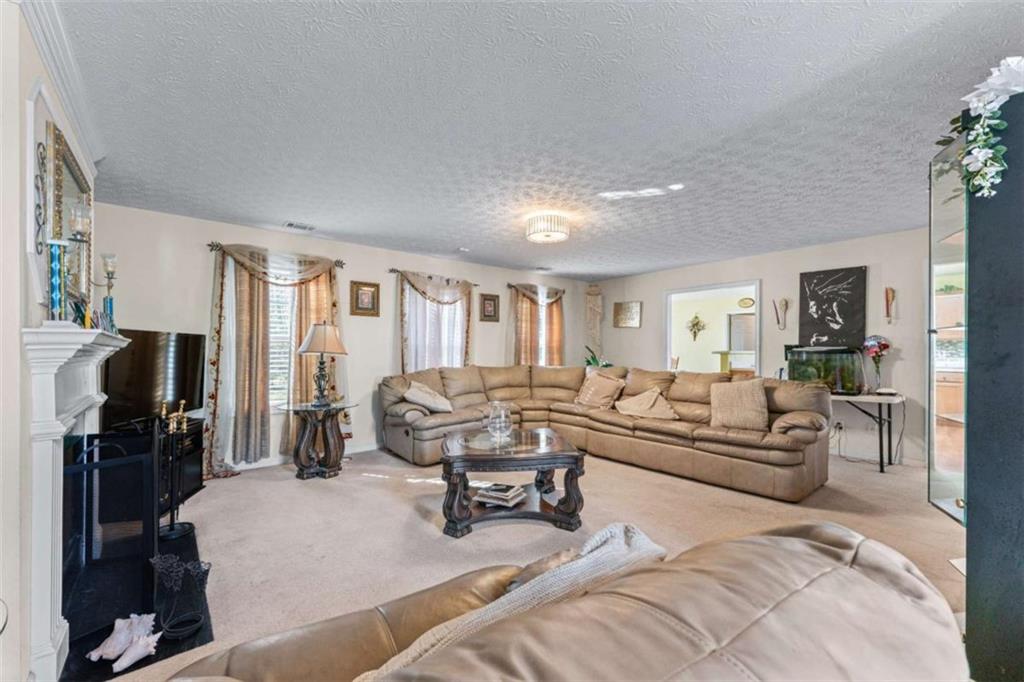 3920 Vine Gate Drive, Lithonia, Georgia image 9