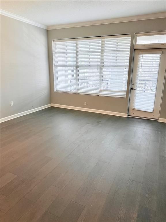 1101 Juniper Street NE 525