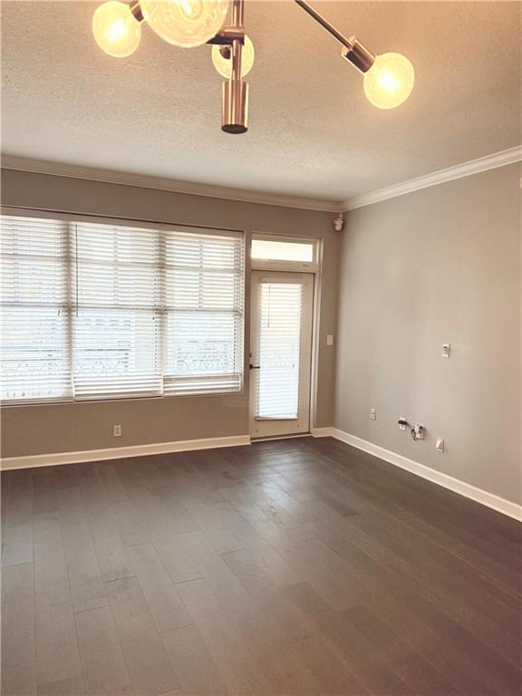 1101 Juniper Street NE 525