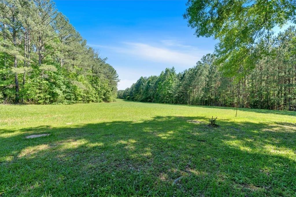 179 Hogan Road, Brooks, Georgia image 43