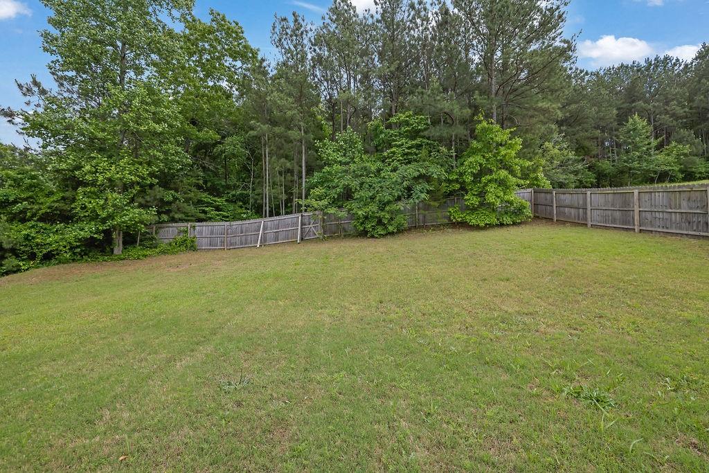 6345 Aarons Way, Flowery Branch, Georgia image 25