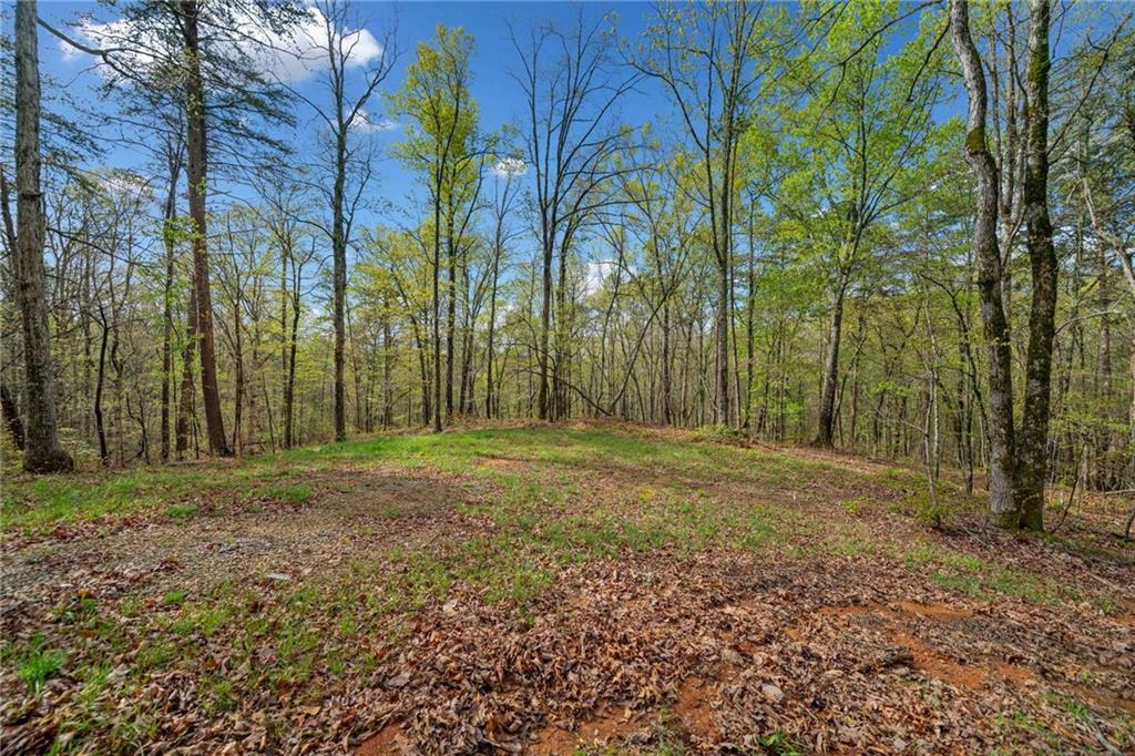 287 Lookout Valley Trail Trail, Talking Rock, Georgia image 4