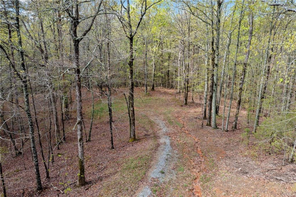 287 Lookout Valley Trail Trail, Talking Rock, Georgia image 5