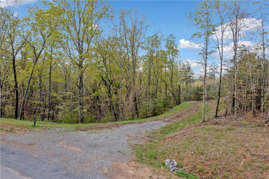 287 Lookout Valley Trail Trail, Talking Rock, Georgia image 6