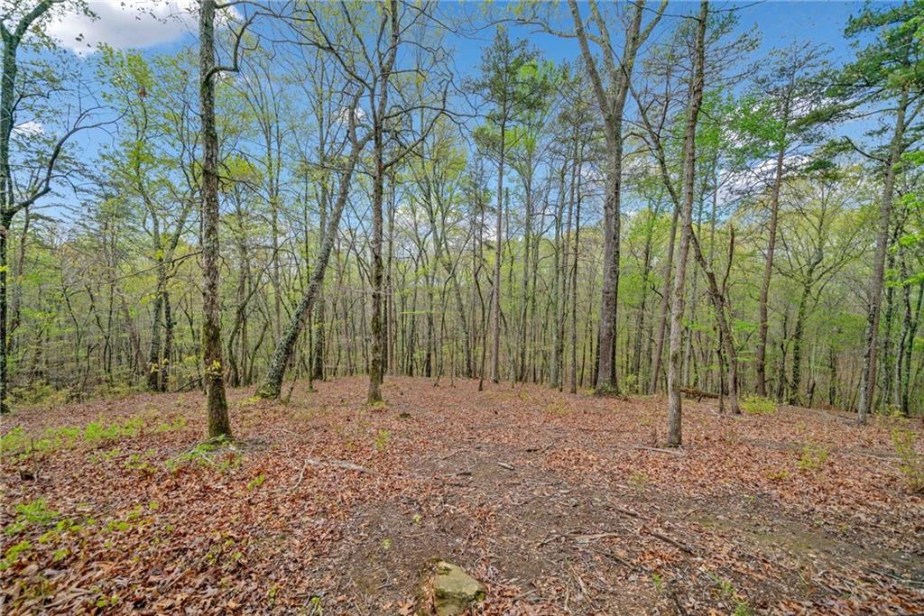 287 Lookout Valley Trail Trail, Talking Rock, Georgia image 2