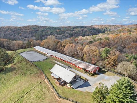 A home in Ellijay