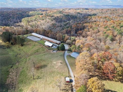 A home in Ellijay