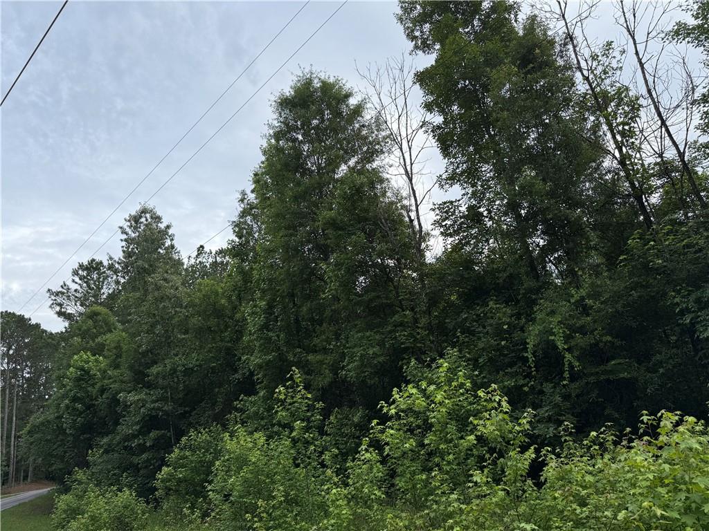Culpepper Road, Calhoun, Georgia image 6