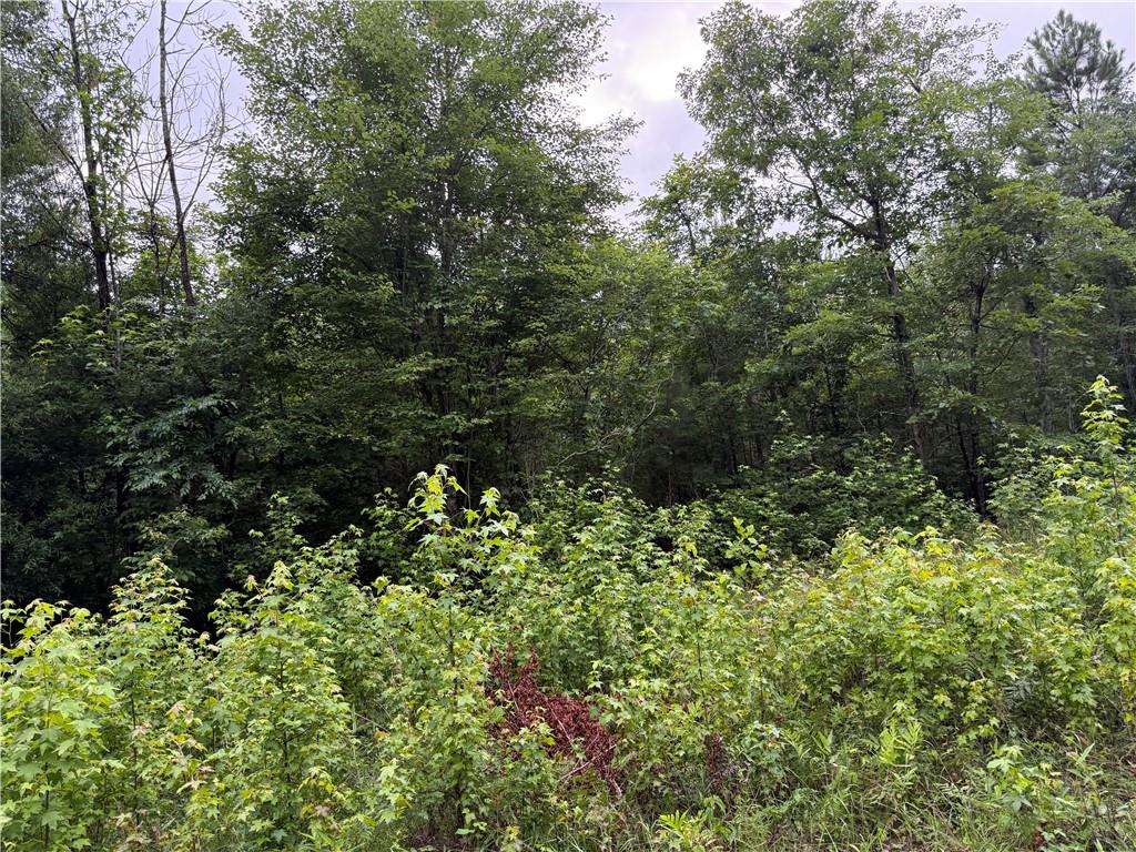 Culpepper Road, Calhoun, Georgia image 5
