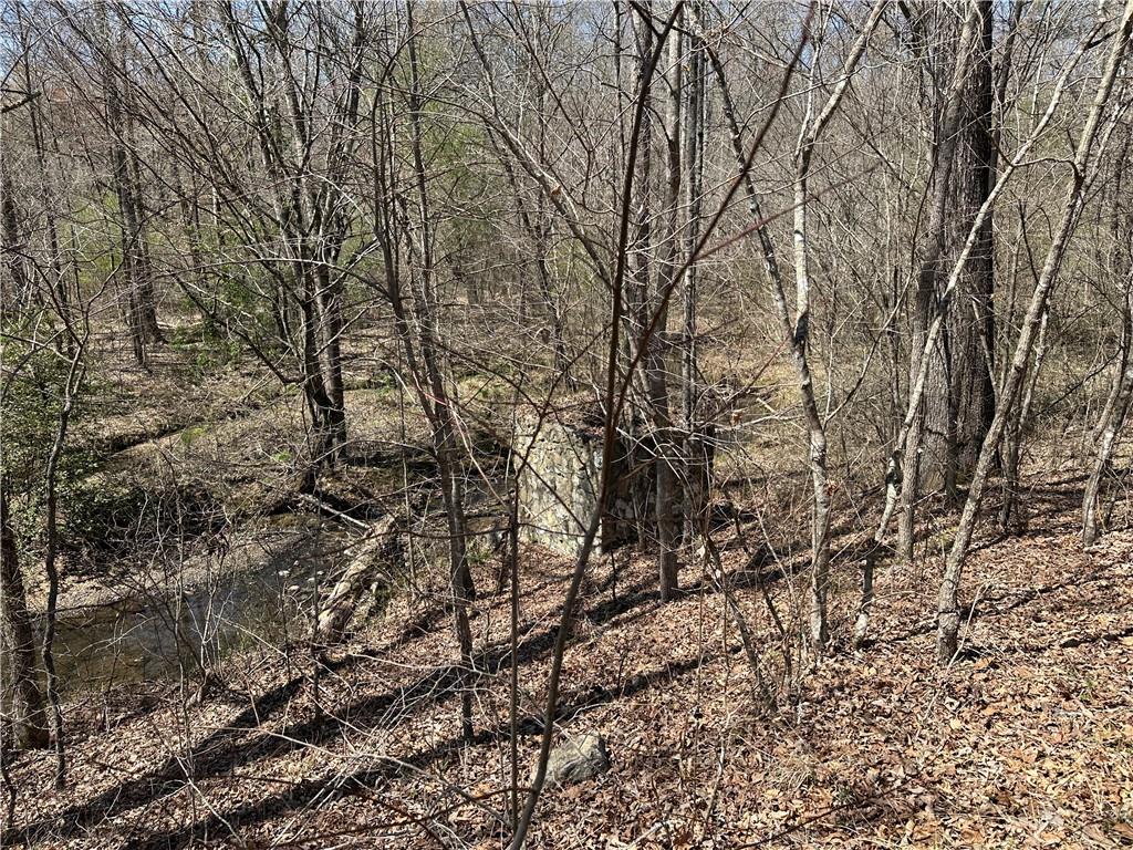 Prior Station Road, Cedartown, Georgia image 25