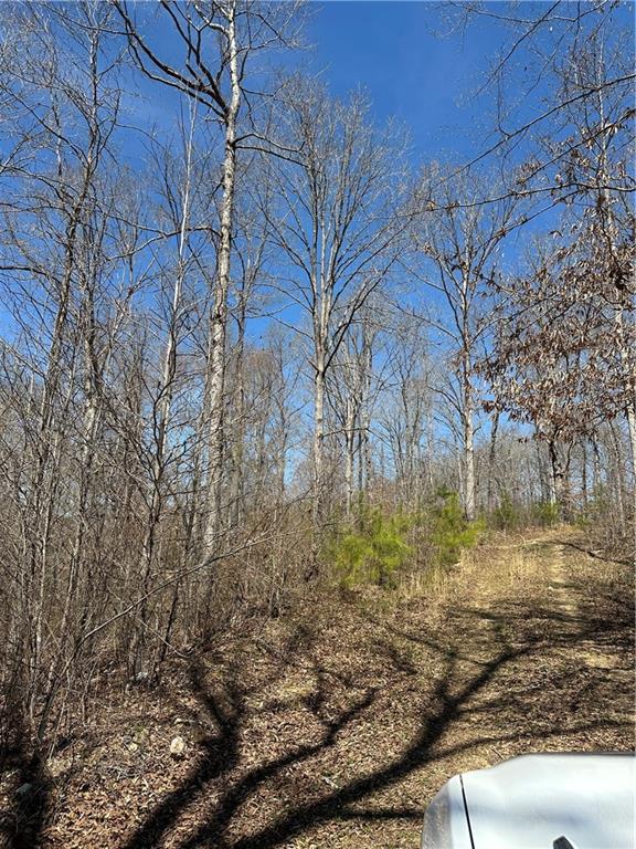 Prior Station Road, Cedartown, Georgia image 48