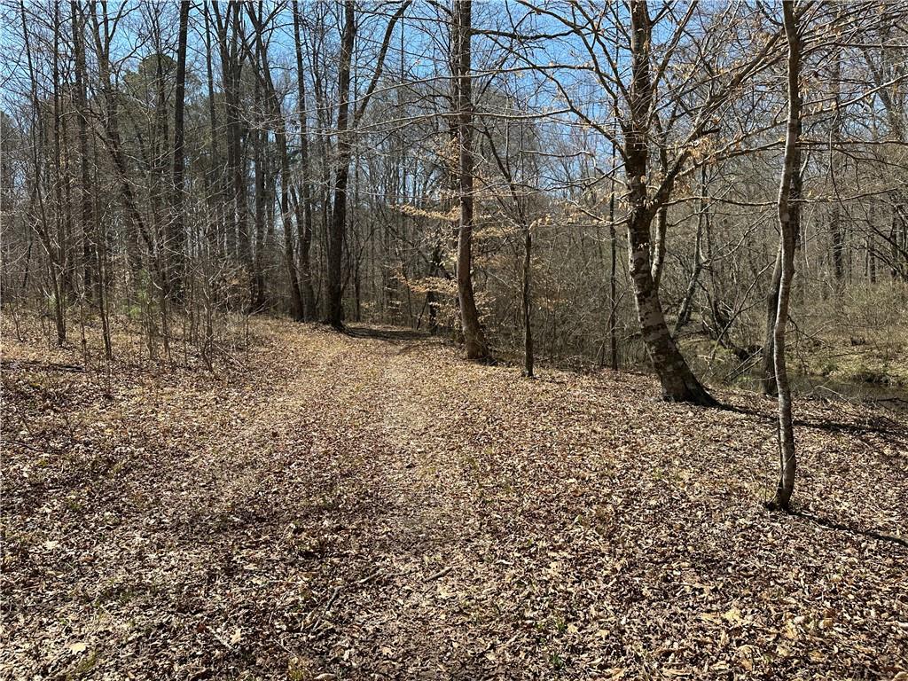 Prior Station Road, Cedartown, Georgia image 30