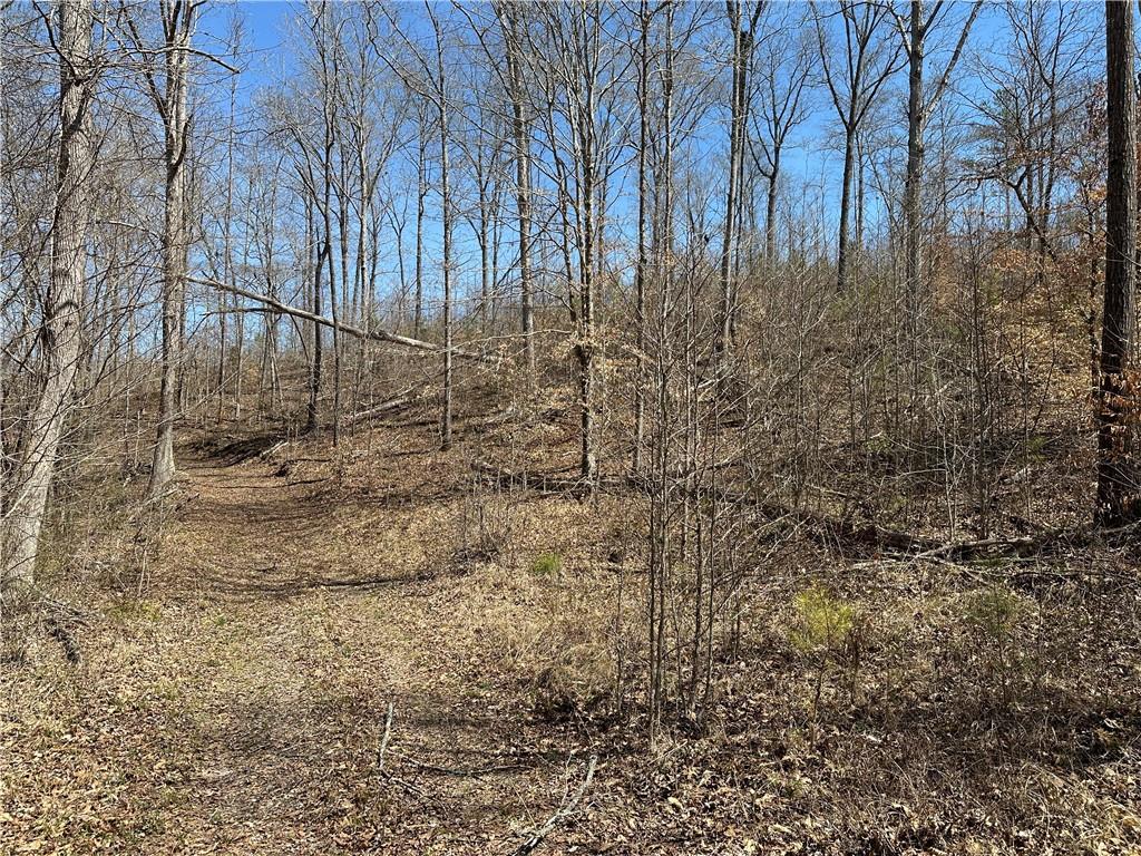Prior Station Road, Cedartown, Georgia image 28