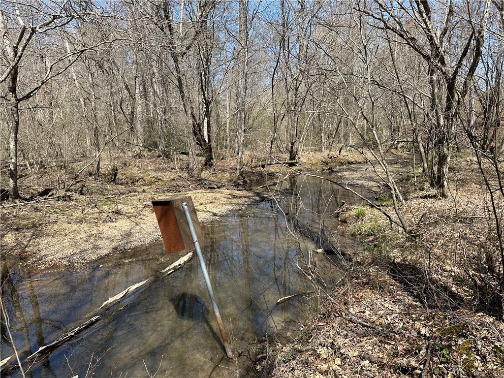 Prior Station Road, Cedartown, Georgia image 38