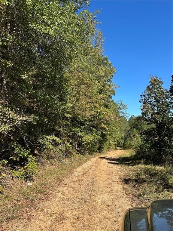 Prior Station Road, Cedartown, Georgia image 49