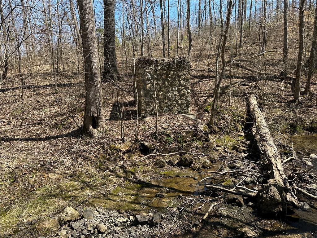 Prior Station Road, Cedartown, Georgia image 43