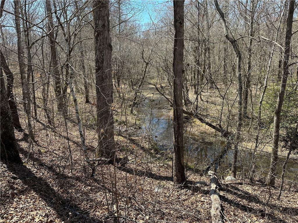 Prior Station Road, Cedartown, Georgia image 26