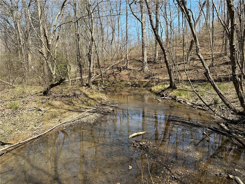 Prior Station Road, Cedartown, Georgia image 41