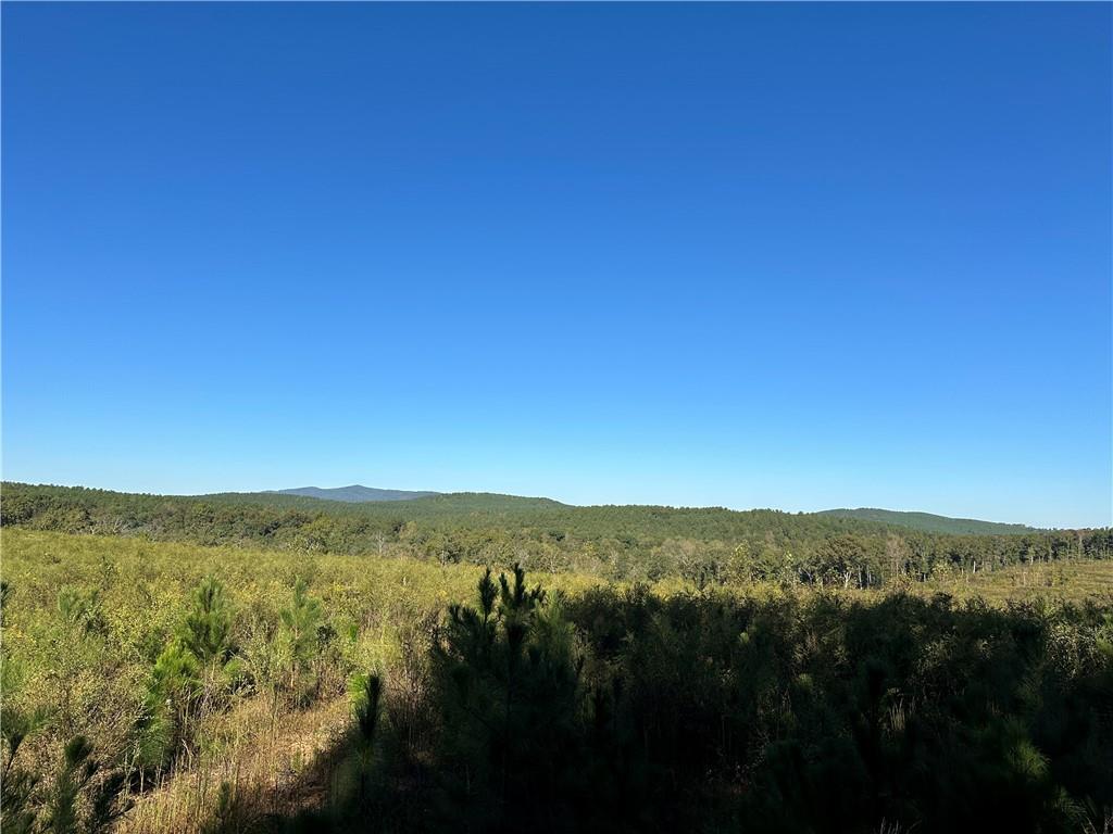 Prior Station Road, Cedartown, Georgia image 5