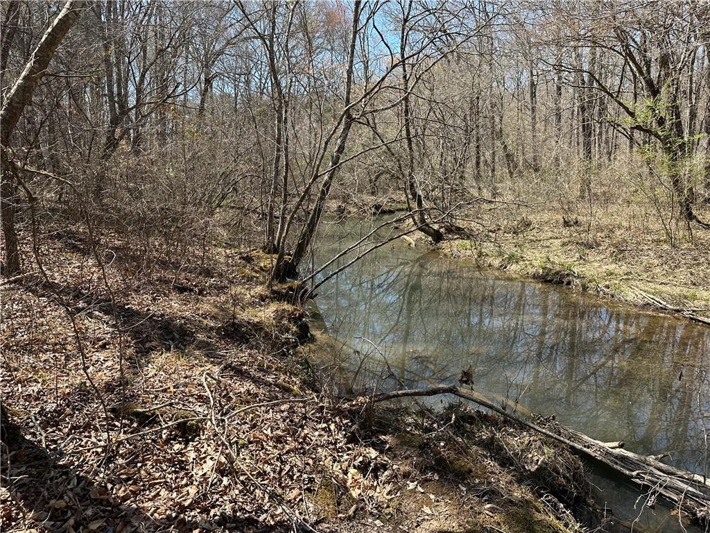 Prior Station Road, Cedartown, Georgia image 37