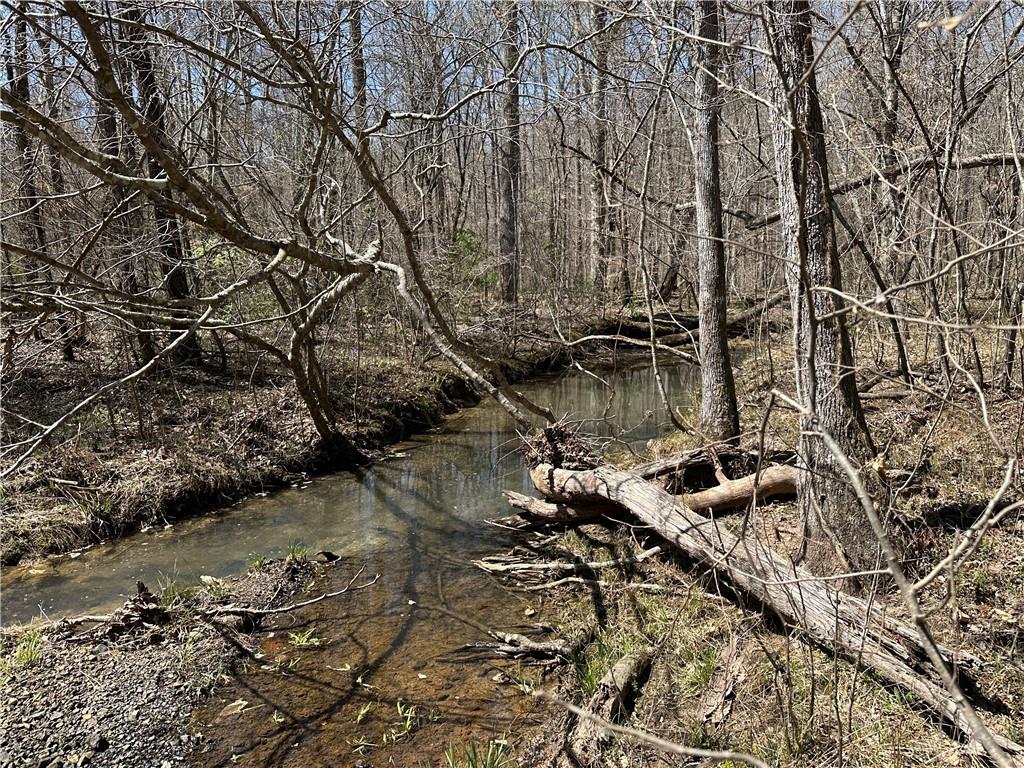 Prior Station Road, Cedartown, Georgia image 9