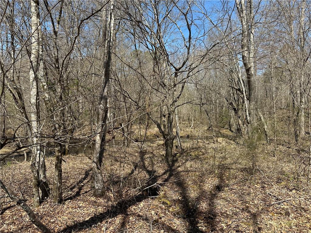 Prior Station Road, Cedartown, Georgia image 29