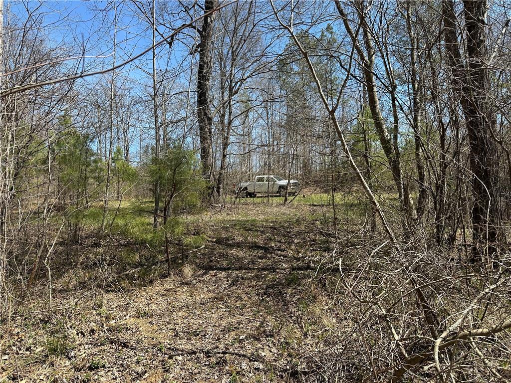 Prior Station Road, Cedartown, Georgia image 11