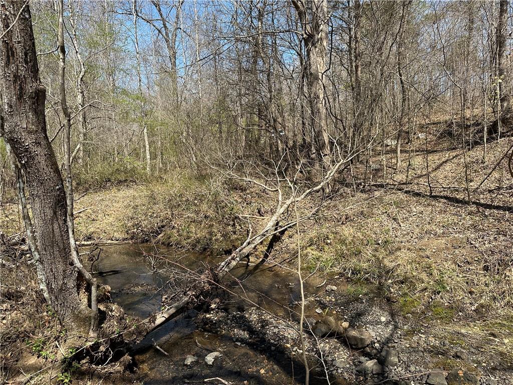 Prior Station Road, Cedartown, Georgia image 42