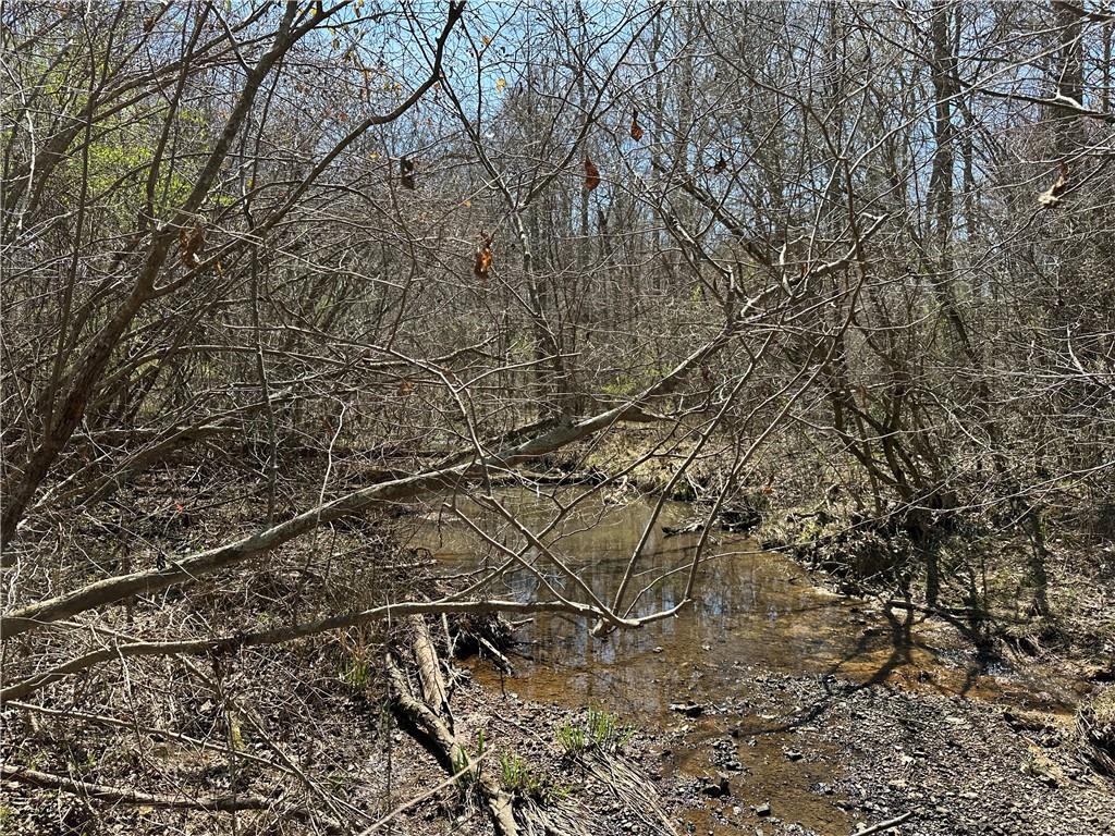 Prior Station Road, Cedartown, Georgia image 10