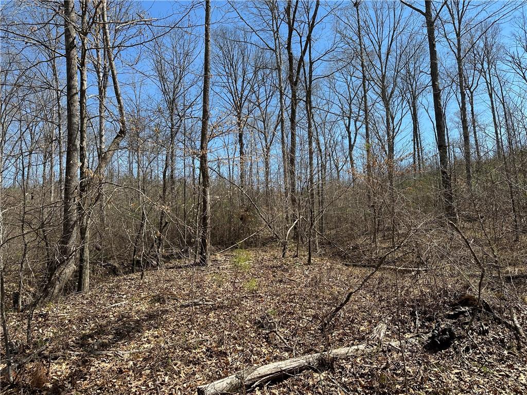 Prior Station Road, Cedartown, Georgia image 32