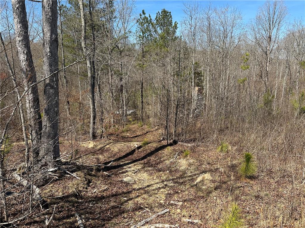 Prior Station Road, Cedartown, Georgia image 15