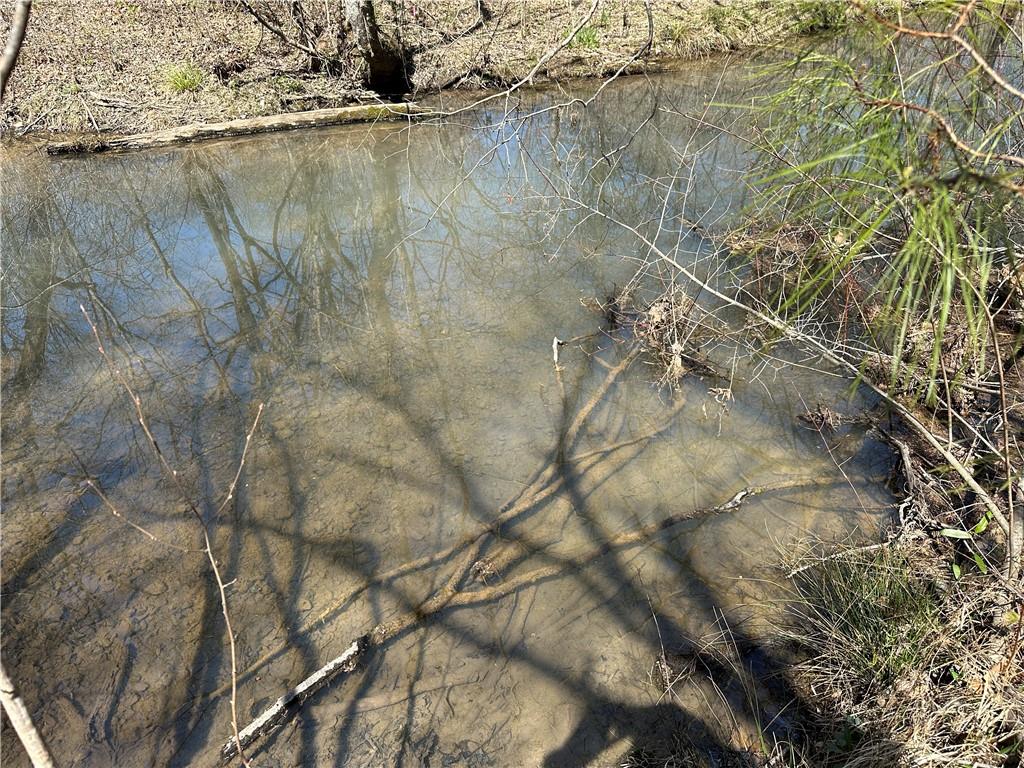 Prior Station Road, Cedartown, Georgia image 34
