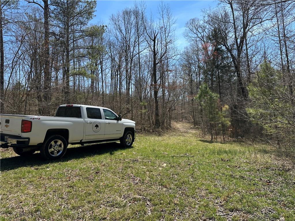 Prior Station Road, Cedartown, Georgia image 12