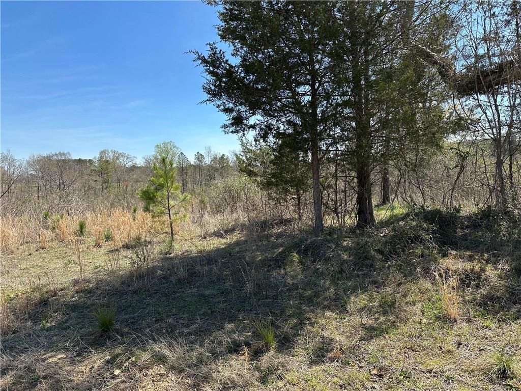 Prior Station Road, Cedartown, Georgia image 8