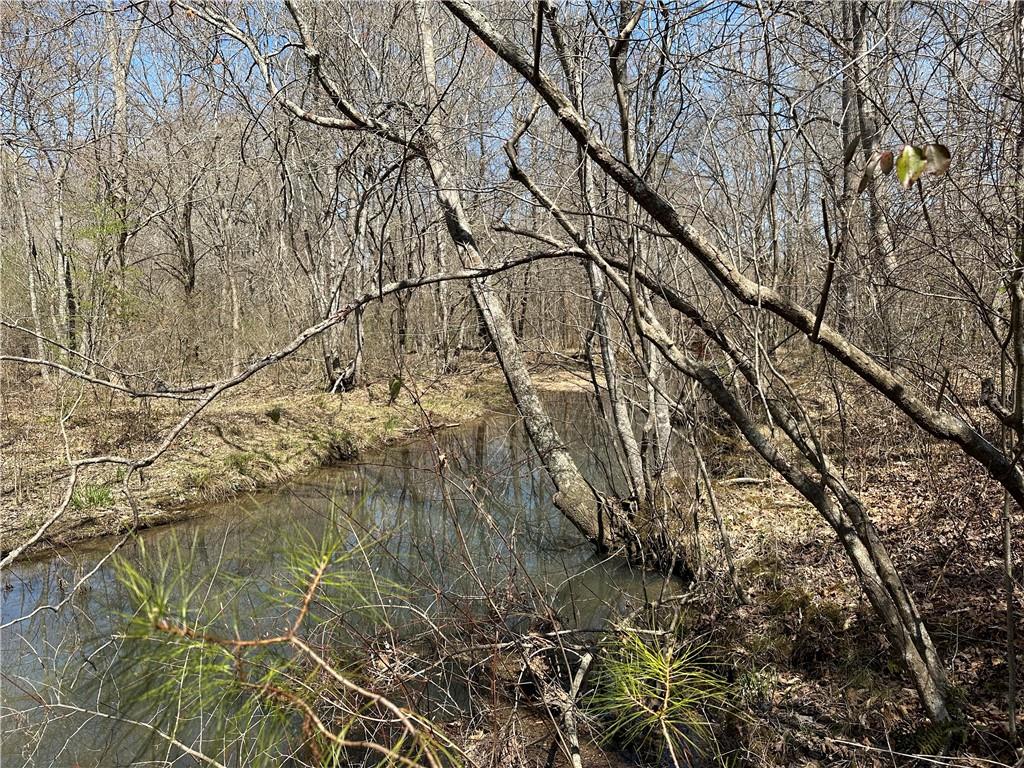 Prior Station Road, Cedartown, Georgia image 35