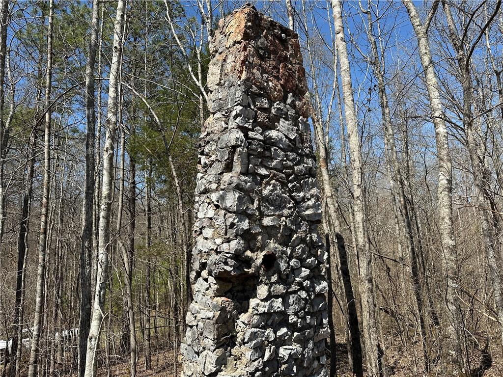 Prior Station Road, Cedartown, Georgia image 1