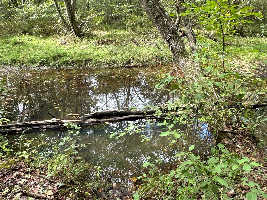 Prior Station Road, Cedartown, Georgia image 23