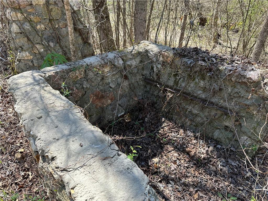 Prior Station Road, Cedartown, Georgia image 22