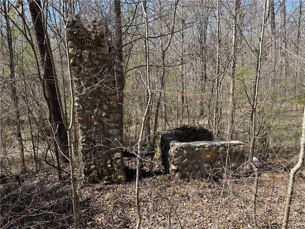 Prior Station Road, Cedartown, Georgia image 2