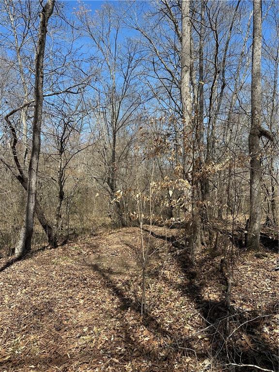Prior Station Road, Cedartown, Georgia image 33