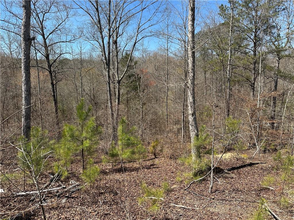 Prior Station Road, Cedartown, Georgia image 21