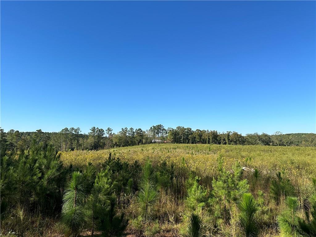 Prior Station Road, Cedartown, Georgia image 3